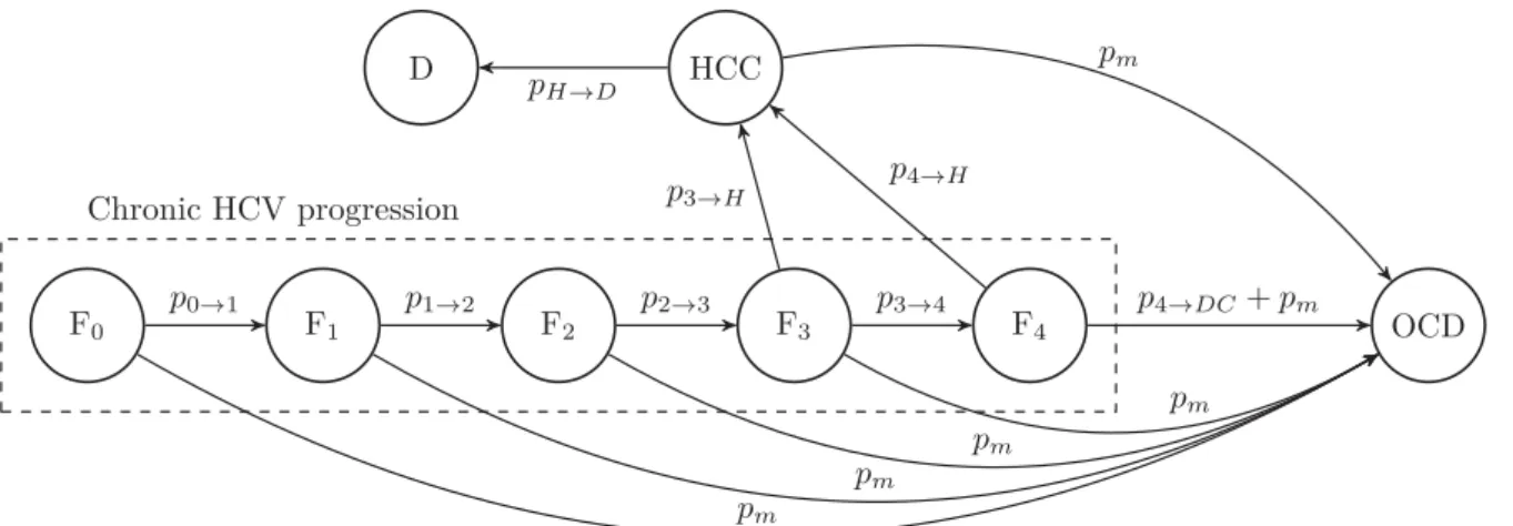 Figure 3.6: Simpliﬁed Markov model of the natural history of HCV with extra state OCD.