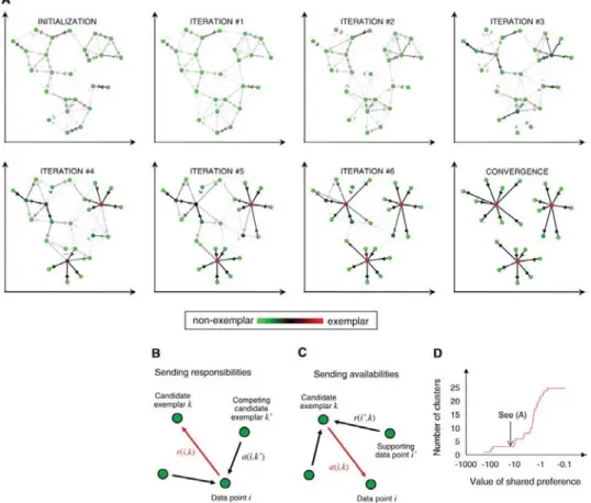 Figure 1.2 – Illustration of a message passing algorithm for affinity propagation. Taken from [Frey and Dueck, 2007]