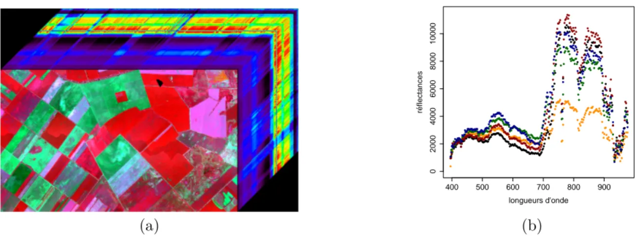 Figure 1.11 – Représentation d’une image hyperspectrale (a) et données spectrales extraites pour quelques pixels (b) (une couleur différente pour chaque pixel).