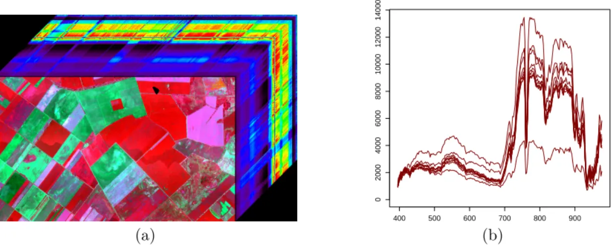 Figure 2.3 – A hyperspectral cube from the AISA dataset (a) with two spatial and one spectral dimensions, and some extracted hyperspectra (b) from the class ’Broadleaved Forest’.