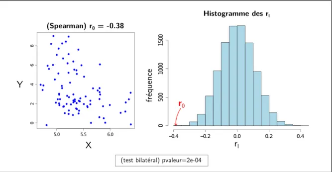 Figure 1.1 – Test de permutation sur la corrélation de Spearman (10 000 échantillons fictifs)