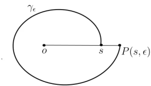 Figure 1.10: The straight line normal to γ  .