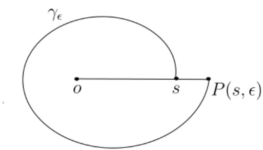 Figure 1.10: The straight line normal to γ  .