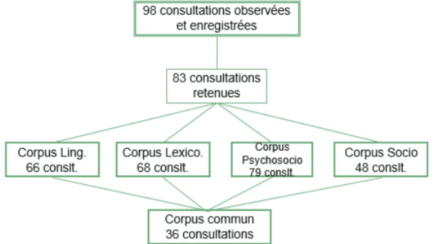 Figure 2 - Base de données du corpus qualitatif retenue pour chaque discipline et corpus  commun 