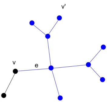 Figure 1.2 – Sur cet exemple, la branche B v (e) (ou B v (v 0 )) est repr´ esent´ ee en