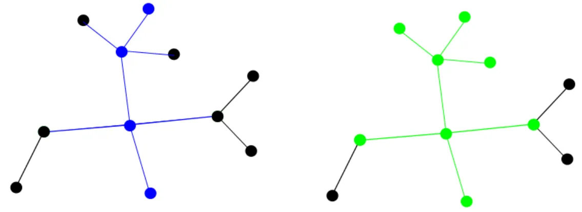 Figure 1.3 – ` A gauche un ouvert connexe de T 0 en bleu de caract´ eristique -2 et `