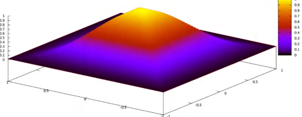 Figure 2.1 – Mesure à lignes de niveau carrées