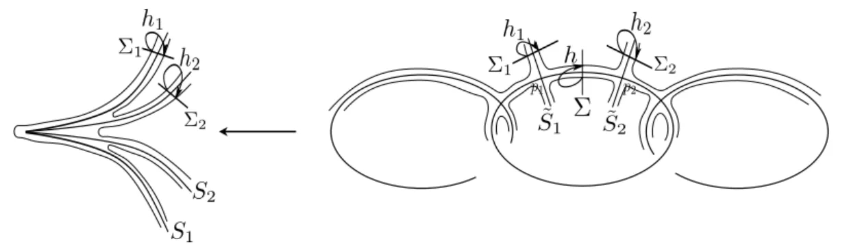 Figure 1: Holonomy vs vanishing holonomy representation