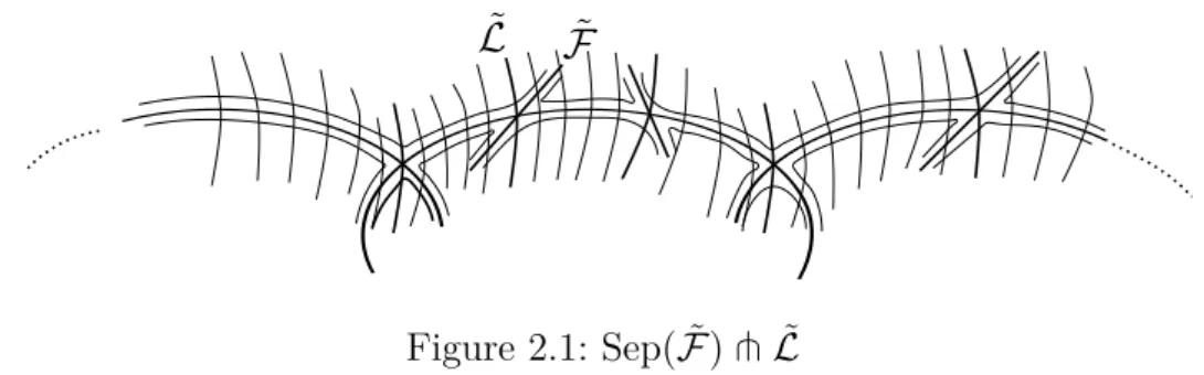 Figure 2.1: Sep( ˜ F ) t ˜ L