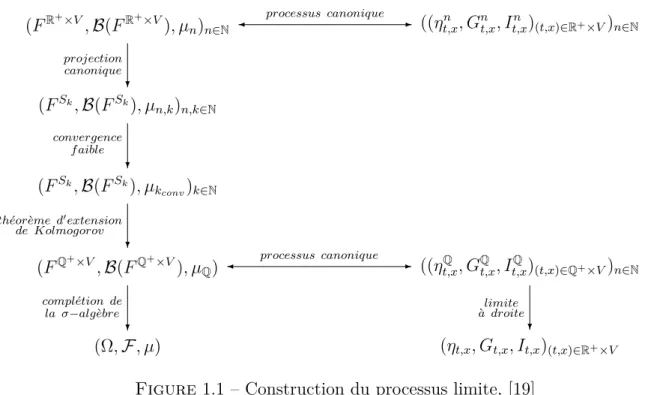 Figure 1.1 – Construction du processus limite, [19]