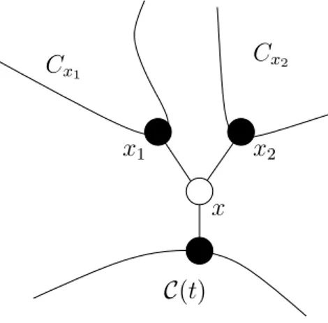 Figure 1.2 – Croissance de la composante connexe de l’origine