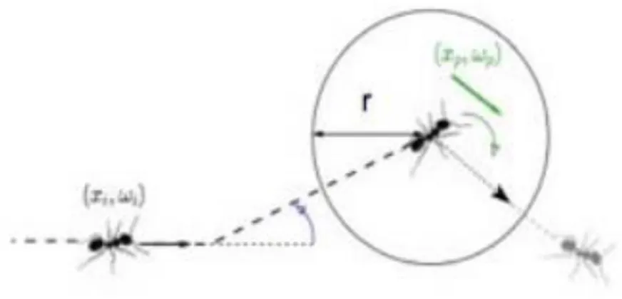 Figure 3.1. mod` ele de piste : Les fourmis suivent un processus de