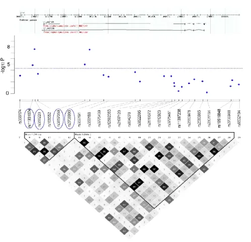 Figure 3.4- Structure de LD dans le gène SNCA et les résultats du test d’association 