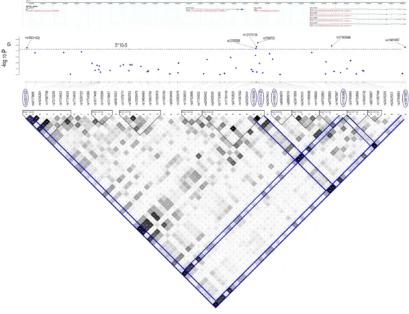 Figure 3.5- Structure de LD dans le gène MAPT et résultats du test d’association 