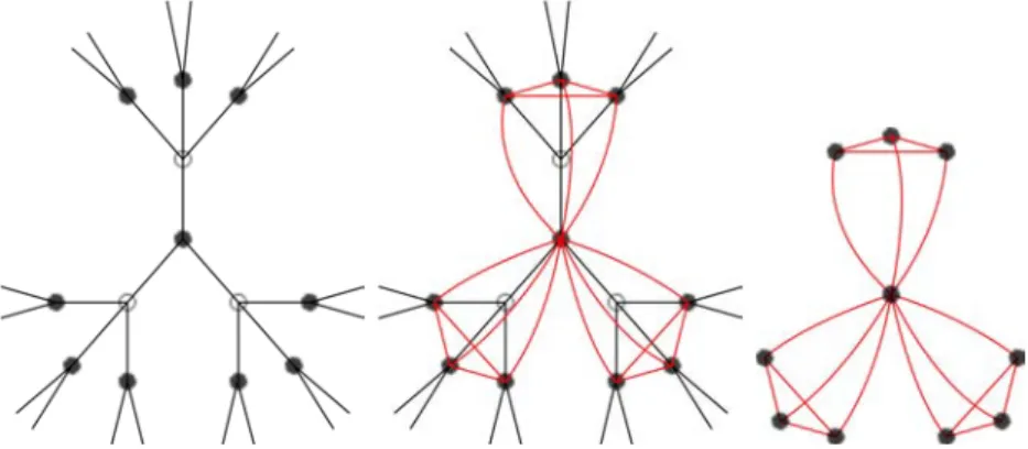 Figure 5.3: Equivalence between semi-homogeneous tree and distance-transitive graphs