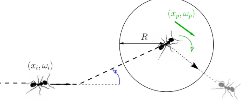 Figure 1. Ants follow a random walk process. Each ant is moving on a straight line until it undergoes a random velocity jump (left) or a trail recruitment jump (right)