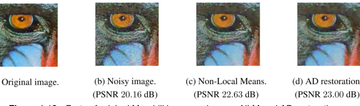 Figure 1.12.: Parts of original Mandrill image, noisy one, NLM and AD restorations.