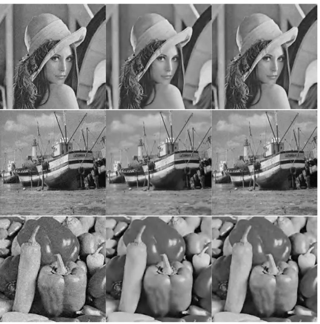 Figure 1.20.: From left to right, the noisy image (σ = 15), the reconstructions with respectively
