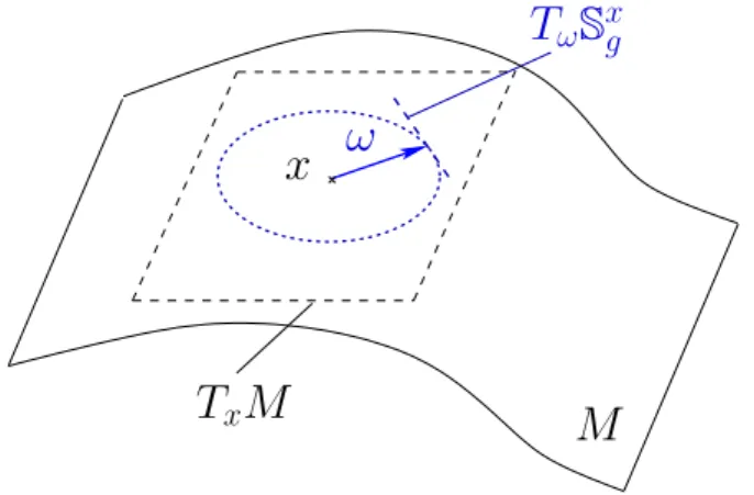 Figure 3.1: An oriented particle (x, ω) on a manifold M . The velocity ω belongs to the tangent space T x M and we also impose that ω has a unit length (e.g