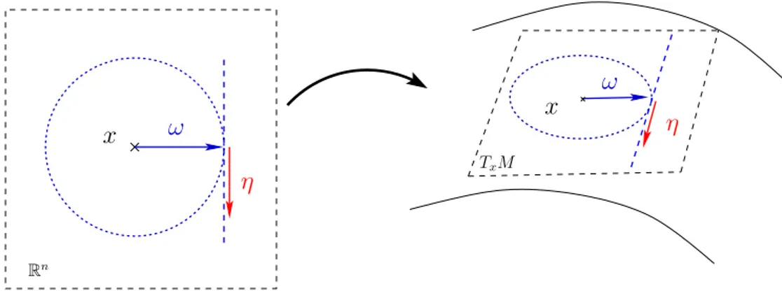 Figure 3.2: In local coordinates, the particles (x, ω) moves in the Euclidean space R n .