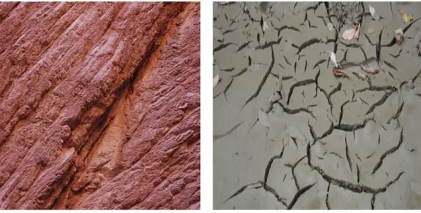 Fig. II.1 – Fissures.— A gauche : une unique fissure. — A droite : plusieurs fissures qui se croisent.