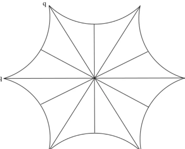 Fig. 2.1 – Un polygone élémentaire pour r = 2, p = 6, q ≥ 6