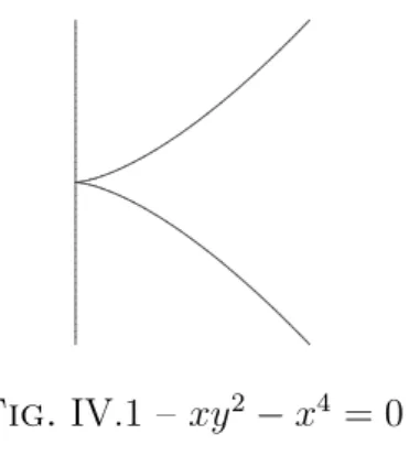 Fig. IV.1 – xy 2 − x 4 = 0