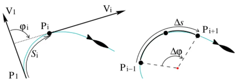 Figure 1.2: Symbols used in the path analysis. P (t) is the ﬁsh position at time t, V (t) its speed vector and S(t) the path length since the beginning of the path P (0)