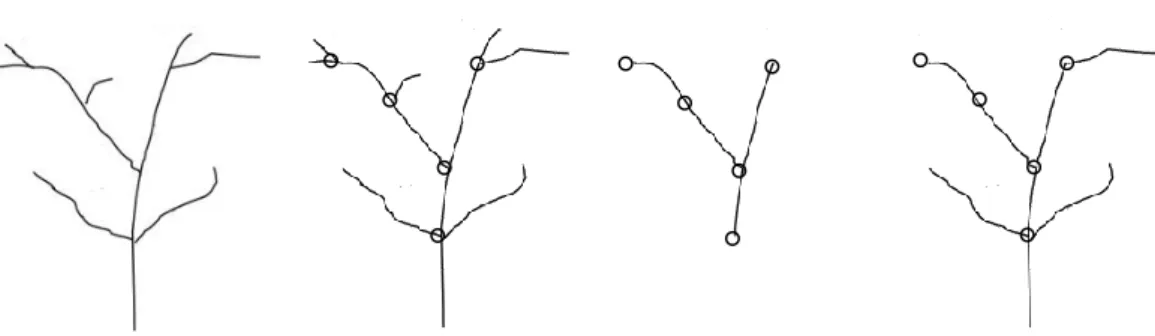 Figure III. 11. Construction d’un réseau principal 