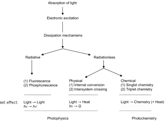 Figure 1.2: Possible decay pathways for a photoinduced process according to Ref. [ 4] 