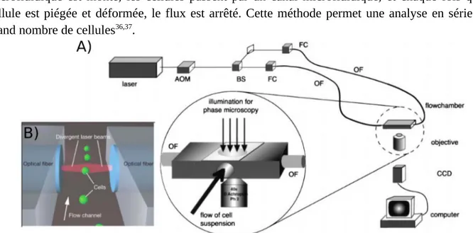 figure   6  montre   un  schéma   du  brancard  optique  ;   le  faisceau  laser   est  divisé  en   deux  par  un séparateur   de   faisceau   couplé   à   des   fibres   optiques