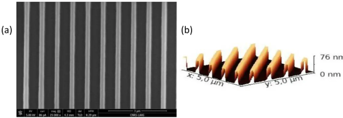 Figure II-17 : (a) Image MEB et (b) AFM de la caractérisation du moule mère de 780 nm de période  après gravure du silicium 
