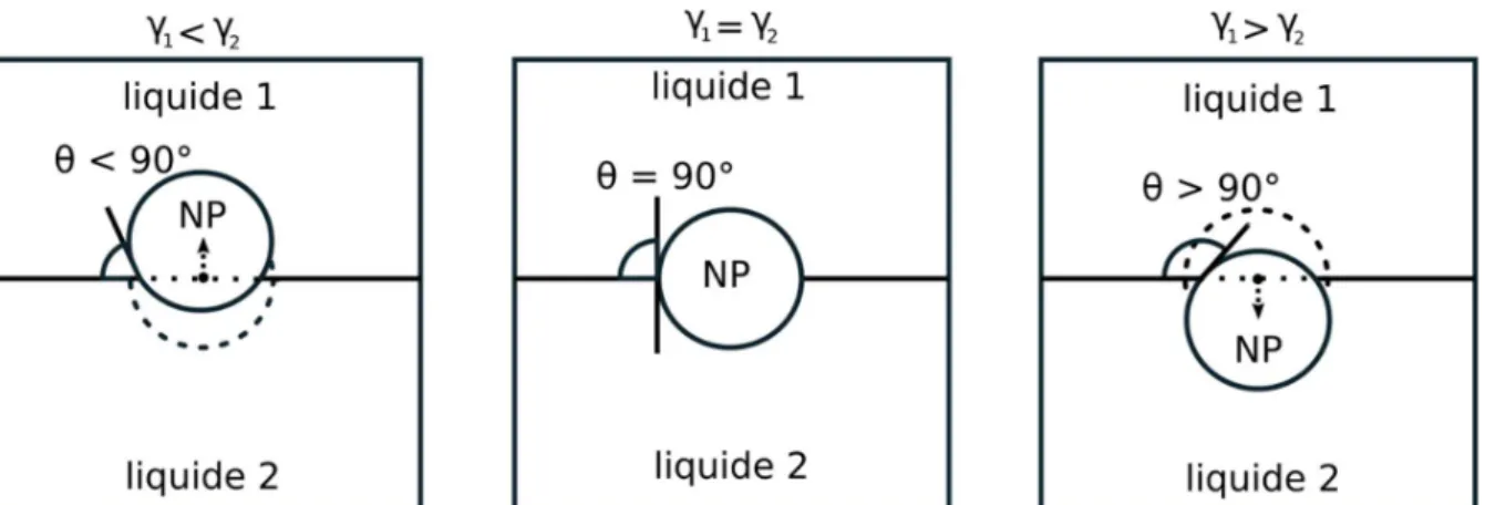 Figure  2 :  Différentes  configurations  possibles  pour  un  objet  à  l’interface  entre  deux  liquides  selon  le  rapport  des  tensions  de  surface  des  deux  liquides