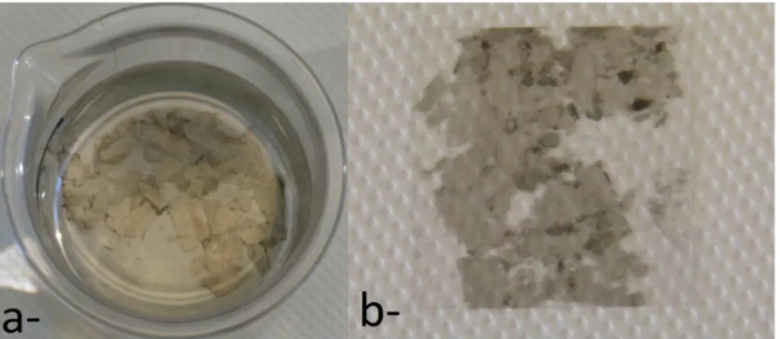 Figure 8 : Films fabriqués à une concentration comprise entre 0,1 et 0,5 wt%. (a) avant transfert sur lame  de verre et (b) après transfert sur lame de verre de 5,75 cm²  