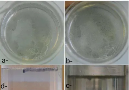 Figure 11 : Evolution structurelle d’un film obtenu avec 2mL de solution à concentration de NTC entre 0,05  et 0,1 wt%