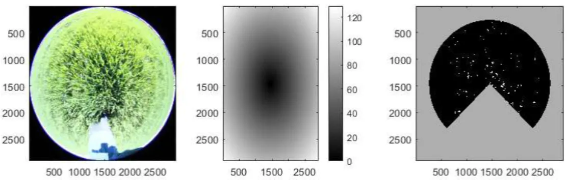 Figure III. 3. Example of the digital processing procedure for photos taken in rainfed wheat field  b