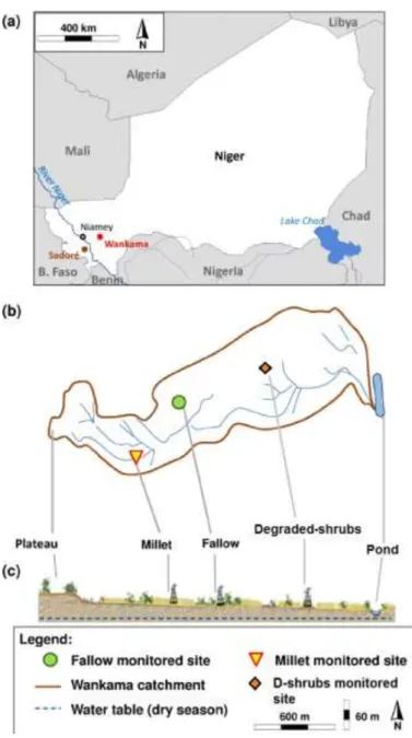 Figure III. 5. (a) Map of the Wankama basin; (b) location of the three study sites (millet, fallow and 