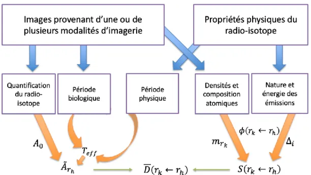 Figure 1 – Schéma de l’extraction des informations préalables au calcul de dose absorbée 