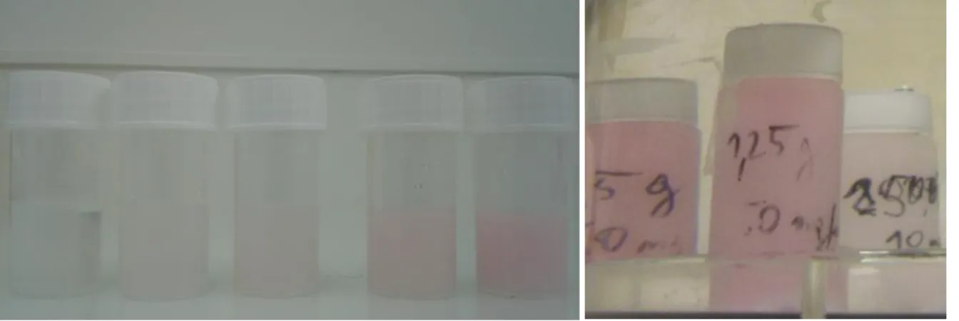 Figure 19 – Gamme de concentration d’holmium CRCT (à g.) et UMC Utrecht (à d.) avec la méthode du tube plein 