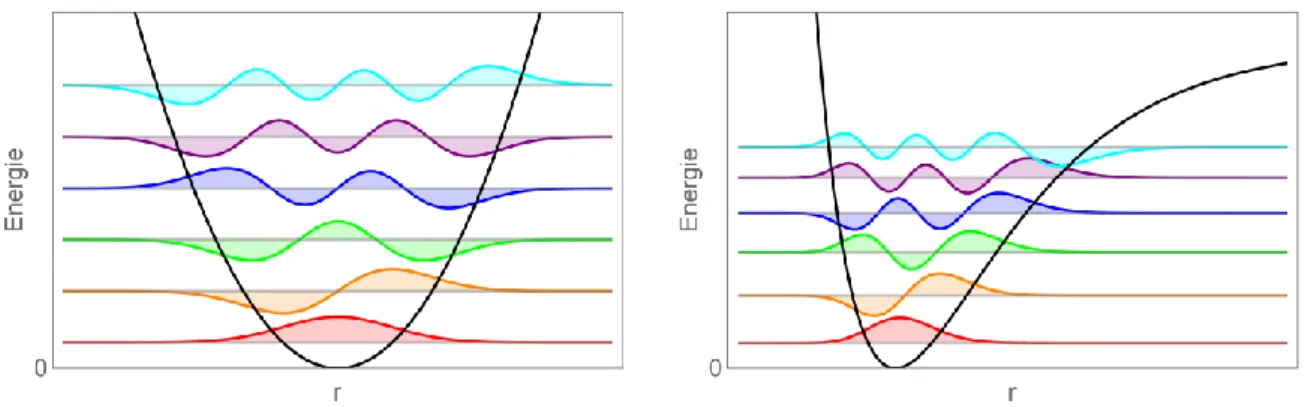 Figure  2.3  -  Représentation  des  niveaux  d’énergie  et  des  fonctions  d’onde  des  états  stationnaires  pour  un  potentiel harmonique (à gauche) et un potentiel de Morse (à droite)