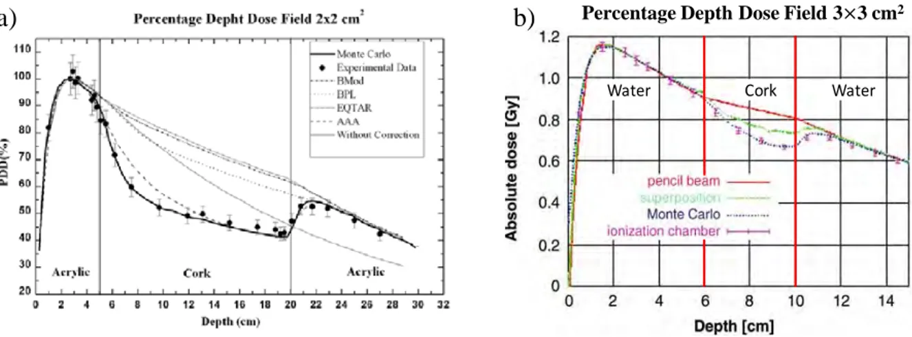 Figure	
   I–25	
  :	
   Comparaison	
   des	
   PDDs	
   profondeur	
   calculés	
   par	
   différents	
   algorithmes	
   et	
   mesurés	
  expérimentalement	
  dans	
  des	
  configurations	
  avec	
  des	
  plaques	
  de	
  lièges	
  [da	
  Rosa	
   et	
  al.	
  2010;	
  Scholz	
  2004].	
  