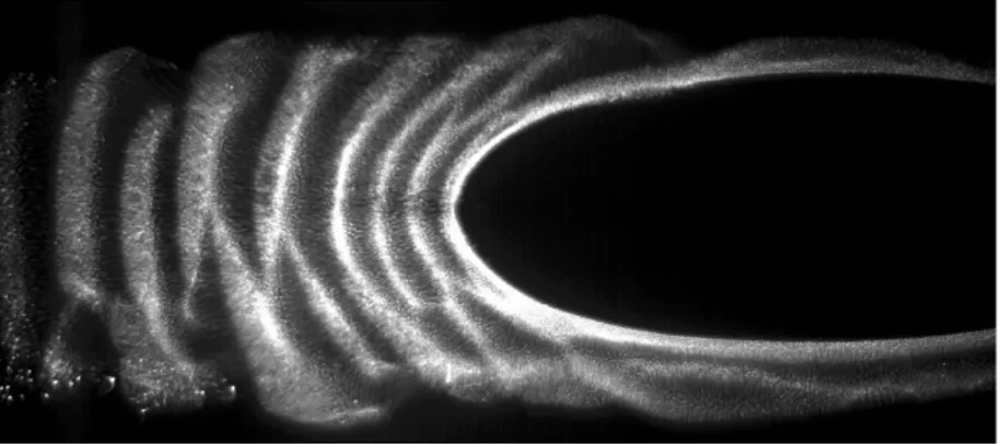 Fig. 1.2. Observation d’ondes de poussière dans un plasma RF capacitif en micro-gravité, par diffusion d’une nappe laser [4].