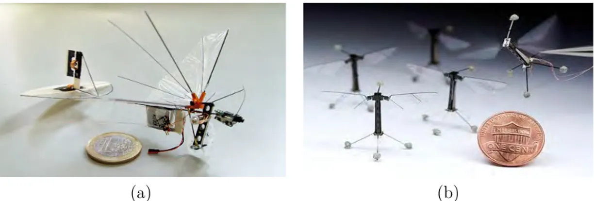 Figure 2 – Micro-drones à ailes battantes : (a) le Delfly Micro, développé à l’Université de Delft et (b) le Robobee, développé à l’Université d’Harvard.