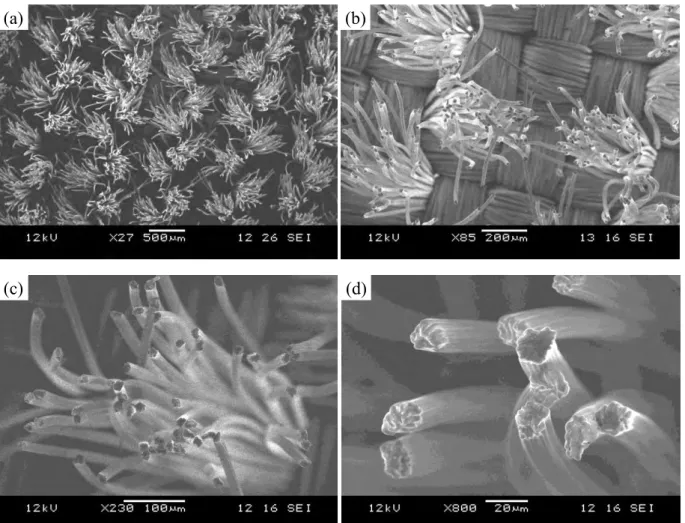 Figure 1-17 – Image du velours au microscope électronique à balayage : (a) vue d’ensemble  (×27), (b) vue de quelques paquets de fibres (×85), (c) vue d’un paquet (×230) et (d) vue des 