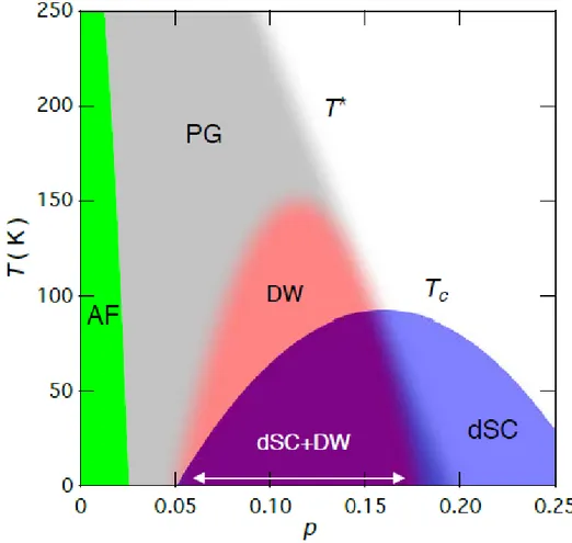 Figure 1.1: The phase diagram of hole-doped cuprate. The vertical axis is the temperature in the unit of Kelvin and the horizontal axis is the hole doping level