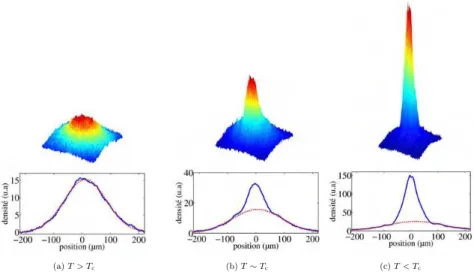Figure 1.14 – Partie haute : images par absorption après 25 ms de TOF de la formation du