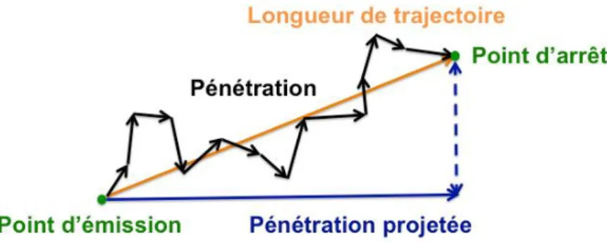 Figure 3.1. Représentation 2D de la pénétration projetée, la pénétration et la longueur de trajec- trajec-toire