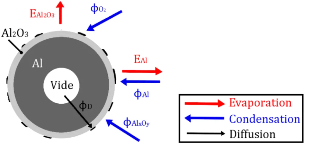 Figure 3.5 – Vue schématique de tous les flux considérés dans notre modèle de