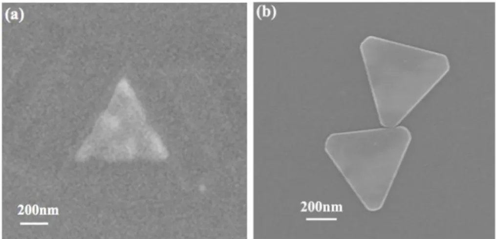 Figure 2.9 (a)SEM image of silver nanoprism obtained by focussed ion beam milling  [41]  of 30nm thin Ag  film deposited by electron beam physical vapour deposition technique, (b) SEM image of gold nanoprism  fabricated by colloidal chemistry 