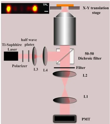 Figure 3.7 Schematic of the TPL setup used for the experimentation. Inset – Confocal TPL map of a 1500nm  long nanowire
